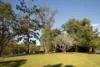 54 O'Brien Road, Pullenvale, Qld 4069-Image