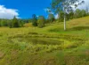 54 Sutton Road, Coolabine, Qld 4574-Image
