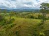54 Sutton Road, Coolabine, Qld 4574-Image