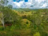 54 Sutton Road, Coolabine, Qld 4574-Image