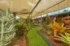 54 Sutton Road, Coolabine, Qld 4574-Image