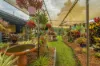 54 Sutton Road, Coolabine, Qld 4574-Image