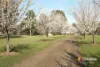 54 Wilton Road, Wilton, NSW 2571-Image