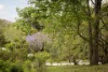 545 Upper Brookfield Road, Upper Brookfield, Qld 4069-Image
