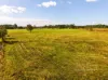 547 Beachmere Road, Beachmere, Qld 4510-Image