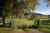 5494 Kiewa Valley Highway, Running Creek, Vic 3691