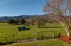 5494 Kiewa Valley Highway, Running Creek, Vic 3691-Image