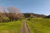 5494 Kiewa Valley Highway, Running Creek, Vic 3691-Image