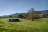 5494 Kiewa Valley Highway, Running Creek, Vic 3691-Image