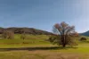 5494 Kiewa Valley Highway, Running Creek, Vic 3691-Image