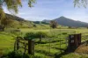 5494 Kiewa Valley Highway, Running Creek, Vic 3691-Image