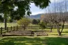 5494 Kiewa Valley Highway, Running Creek, Vic 3691-Image