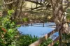55 Meringandan Shirley Road, Meringandan West, Qld 4352-Image