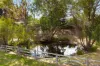 55 Meringandan Shirley Road, Meringandan West, Qld 4352-Image