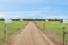 55 William Road, Little River, Vic 3211-Image