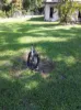 56 Jensen Road, Jensen, Qld 4818-Image