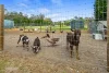 56 Sargents Road, Ebenezer, NSW 2756-Image