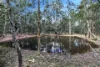 56 Springvale Road, Tinana, Qld 4650-Image