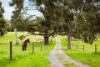560 Ackland Hill Road, Cherry Gardens, SA 5157-Image