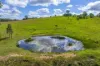 5608 Bruce Highway, Tiaro, Qld 4650-Image