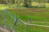 5608 Bruce Highway, Tiaro, Qld 4650-Image