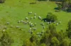5608 Bruce Highway, Tiaro, Qld 4650-Image