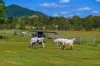 5608 Bruce Highway, Tiaro, Qld 4650-Image