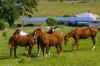 5608 Bruce Highway, Tiaro, Qld 4650-Image