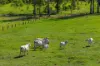 5608 Bruce Highway, Tiaro, Qld 4650-Image