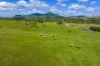 5608 Bruce Highway, Tiaro, Qld 4650-Image