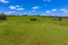 5608 Bruce Highway, Tiaro, Qld 4650-Image