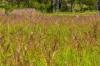 5608 Bruce Highway, Tiaro, Qld 4650-Image