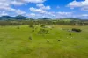 5608 Bruce Highway, Tiaro, Qld 4650-Image