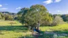 5644 Tweed Valley Way, Crabbes Creek, NSW 2483-Image