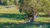5644 Tweed Valley Way, Crabbes Creek, NSW 2483-Image