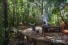 566 Gorge Road, Finch Hatton, Qld 4756-Image