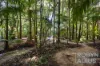 566 Gorge Road, Finch Hatton, Qld 4756-Image