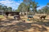 5716 Putty Road, Howes Valley, NSW 2330-Image