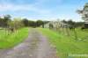 571A The Bucketts Way, Limeburners Creek, NSW 2324-Image