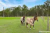 571A The Bucketts Way, Limeburners Creek, NSW 2324-Image