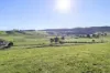 58 Gundagai Road, Bangor, Tas 7267