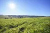 58 Gundagai Road, Bangor, Tas 7267-Image