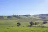 58 Gundagai Road, Bangor, Tas 7267-Image