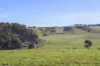 58 Gundagai Road, Bangor, Tas 7267-Image