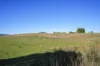 58 Gundagai Road, Bangor, Tas 7267-Image