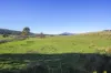 58 Gundagai Road, Bangor, Tas 7267-Image