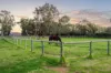 58 Kentucky Drive West, Darling Downs, WA 6122-Image