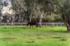 58 Kentucky Drive West, Darling Downs, WA 6122-Image
