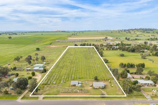 58 Longs Corner Road, Canowindra, NSW 2804