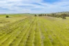 58 Longs Corner Road, Canowindra, NSW 2804-Image